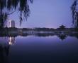 Recently Reviewed Hotels